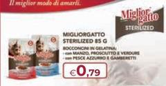 Morando - Miglior Gatto Sterilized