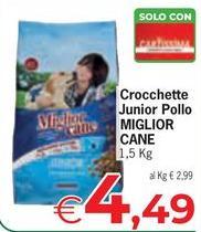 Solo - Crocchette Junior Pollo