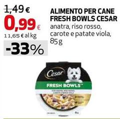 Cesar - Alimento Per Cane Fresh Bowls