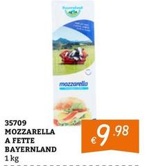 Bayernland - Mozzarella A Fette