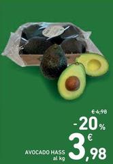 Avocado Hass