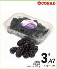 Conad - More