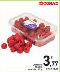 Conad - Lamponi