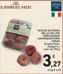 Sapori & piaceri - Pesche Saturnia Delle Colline Marchiglane