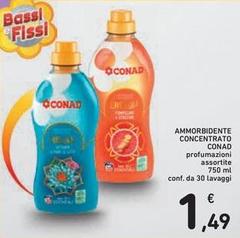 Bassi - Ammorbidente Concentrato
