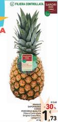 Conad - Ananas Sapori&Idee Percorso Qualita