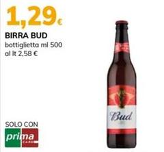 Bud - Birra