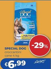 Monge - Special Dog