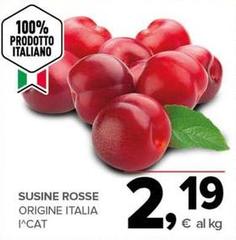 Sucine Rosse