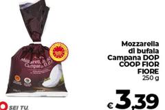 Fiore - Mozzarella Di Bufala Campana DOP