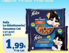 Felix - Le Ghiottonerie/ Sensation Cat