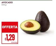 Avocado