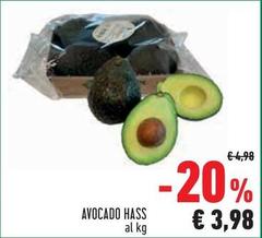 Avocado Hass