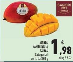 Sapori - Mango &Idee