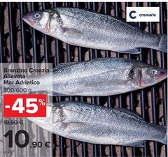 Cromaris - Branzino Croazia Allevata