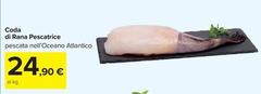 Rana - Coda Di  Pescatrice