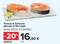 Trancio Di Salmone Allevato In Norvegia