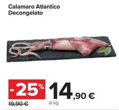 Calamaro Atlantico Decongelato