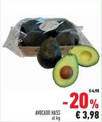 Avocado Hass