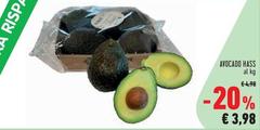Avocado Hass