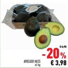 Avocado Hass