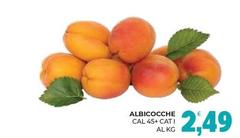 Albicocche