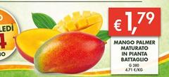 Battaglio - Mango Palmer Maturato In Pianta