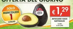 Solo - Avocado Hass Battaglio