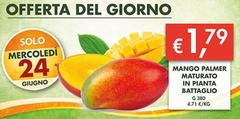 Solo - Mango Palmer Maturato In Pianta