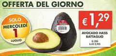 Solo - Avocado Hass Battaglio
