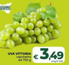 Vittoria - Uva
