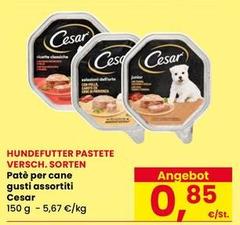 Cesar - Paté Per Cane Gusti Assortiti