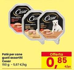 Cesar - Patè Per Cane Gusti Assortiti