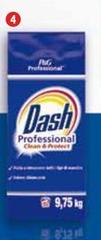 Dash - Professional Clean & Protect
