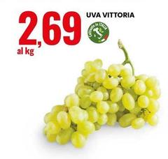 Uva Vittoria