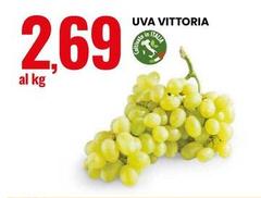 Uva Vittoria