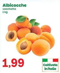 Albicocche