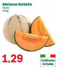 Melone Retato