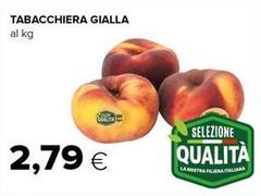 Tabacchiaera Gialla