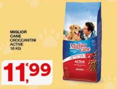 Cane Croccantini Active