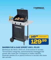 Campingaz - Barbecue A Gas Xpert 100 L Plus