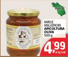 Apicoltura Oliva - Miele Millefiori 