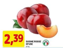 Sucine Rosse Sfuse