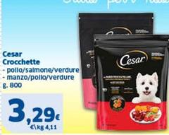 Cesar - Crocchette