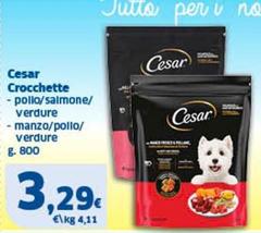 Cesar - Crocchette