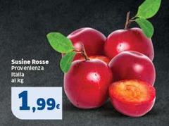 Susine Rosse Provenienza
