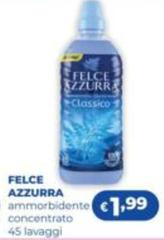 Felce Azzurra -