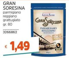 Gran Soresina - Parmigiano Reggiano Grattugiato