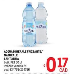 Sant'anna - Acqua Minerale Frizzante/ Naturale
