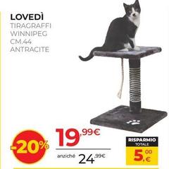 Lovedi Tiragraffi Winnipeg Antracite